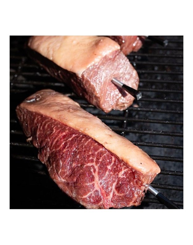 Termometras MEATER Plus