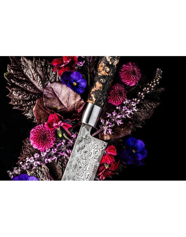 Forged Limited Edition Kiritsuke peilis su dėklu 7