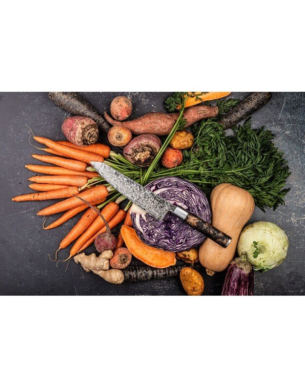 Forged Limited Edition Kiritsuke peilis su dėklu 6