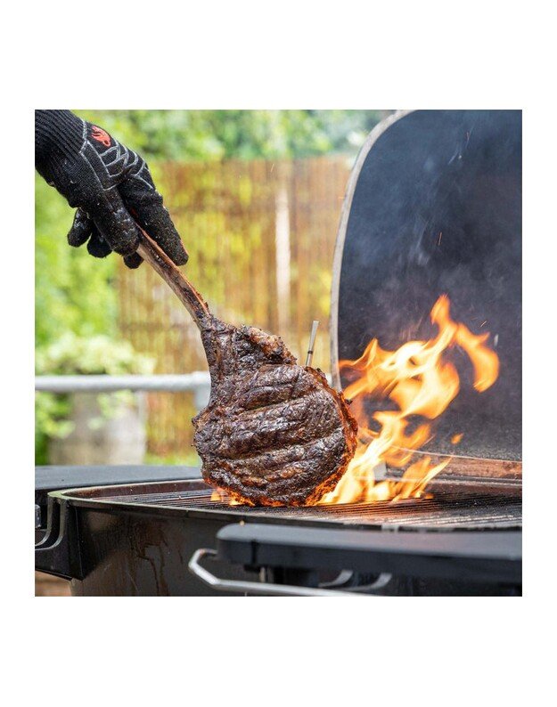 Termometras MEATER Pro