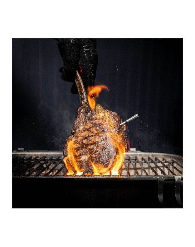 Termometras MEATER Pro