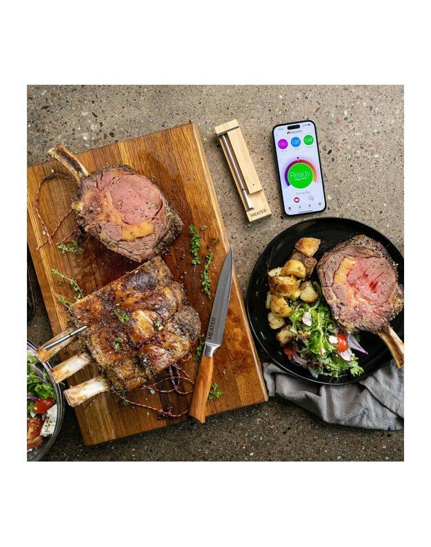 Termometras MEATER Pro