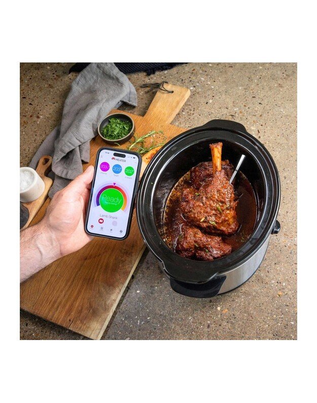 Termometras MEATER Pro