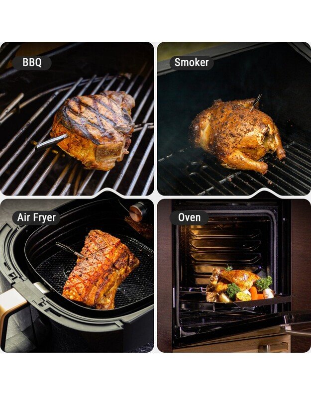 Belaidis Bluetooth mėsos termometras ThermoPro TP972W su 2 zondais