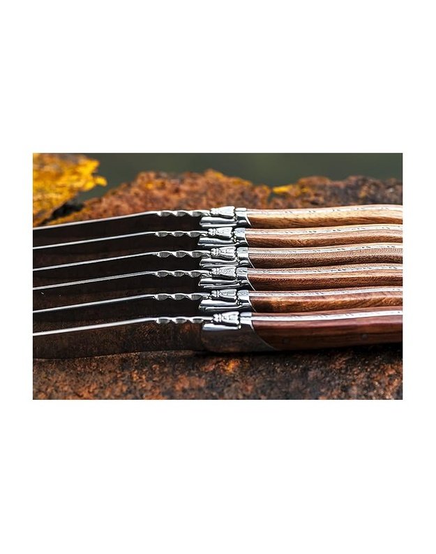 Steiko peilių rinkinys Forged Luxury Line Pakka Rose