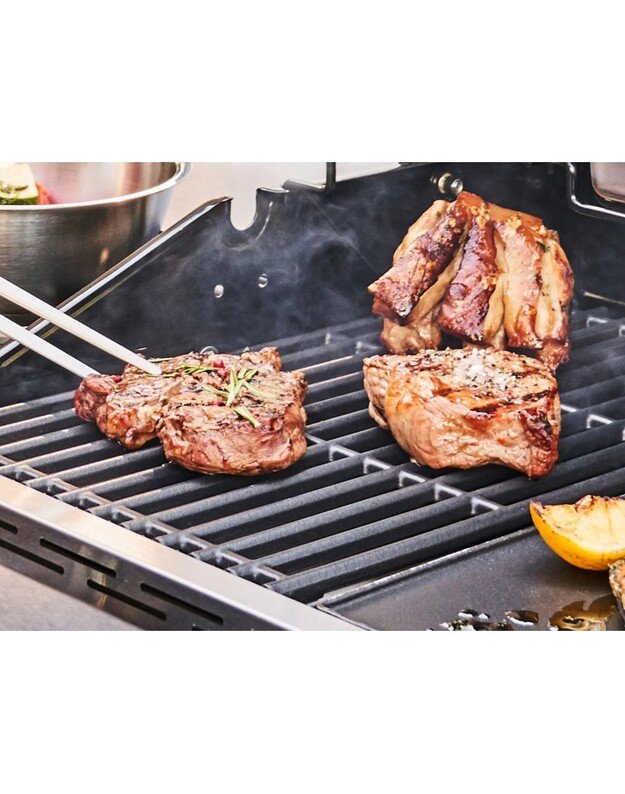 Dujinis grilis Char-Broil Professional Pro S 2 15